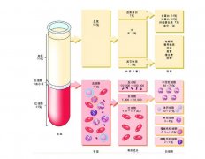 -30℃～-80℃血漿蛋白低溫冷凍庫規(guī)范，冷庫安裝價格